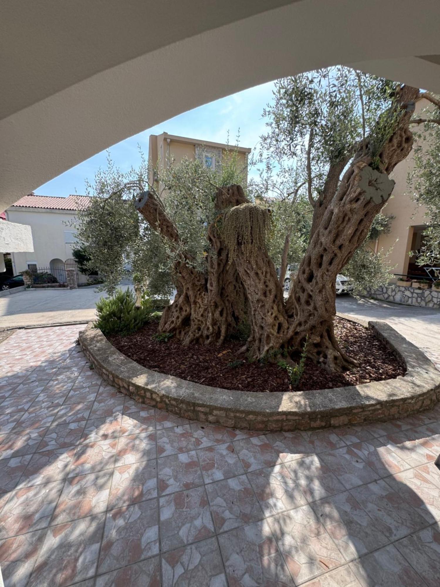 Olive Przno - Peaceful Private Patio - 2 Bedroom - 2 Parking Spots Lägenhet *